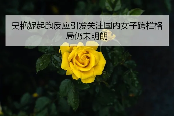 吴艳妮起跑反应引发关注国内女子跨栏格局仍未明朗