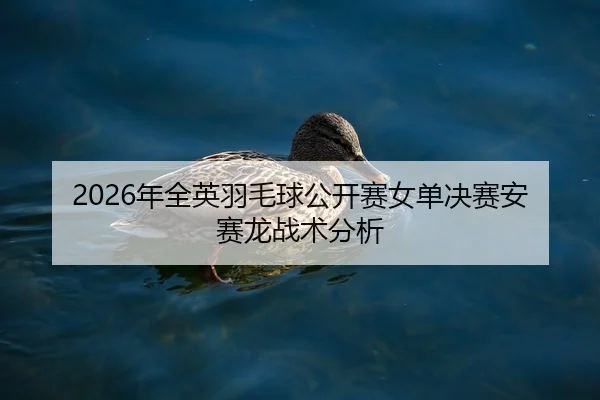 nian-quan-ying-yu-mao-qiu-gong-kai-sai-nv-dan-jue-sai-an-sai-long-zhan-shu-fen-xi-2-270.jpg