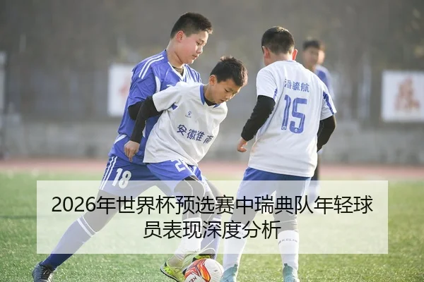 2026年世界杯预选赛中瑞典队年轻球员表现深度分析