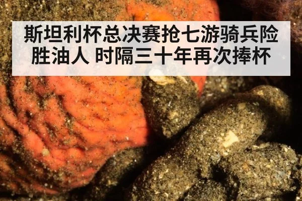 斯坦利杯总决赛抢七游骑兵险胜油人 时隔三十年再次捧杯